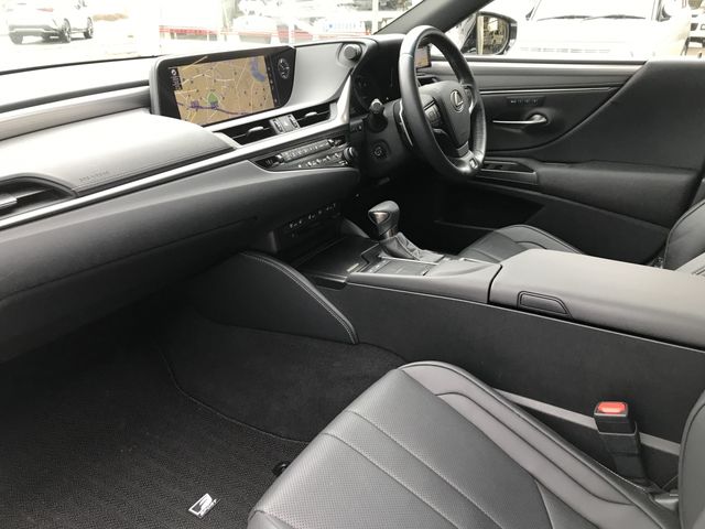 TOYOTA LEXUS ES300H 2019 Image 31