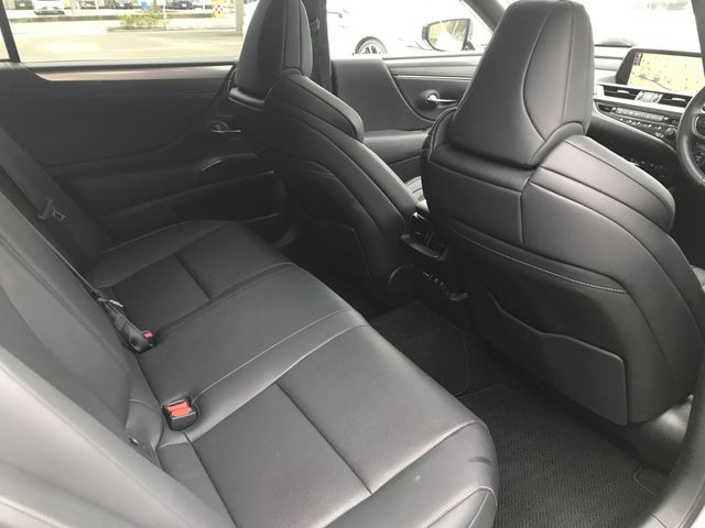 TOYOTA LEXUS ES300H 2019 Image 31