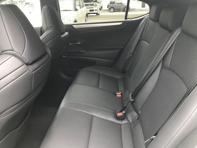 TOYOTA LEXUS ES300H 2019 Image 31