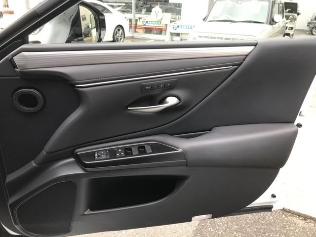 TOYOTA LEXUS ES300H 2019 Image 31