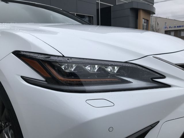 TOYOTA LEXUS ES300H 2019 Image 31