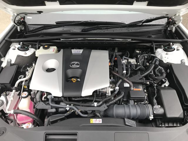 TOYOTA LEXUS ES300H 2019 Image 31