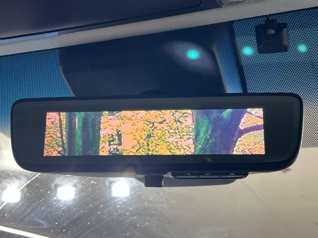 TOYOTA ALPHARD 2018 Image 31