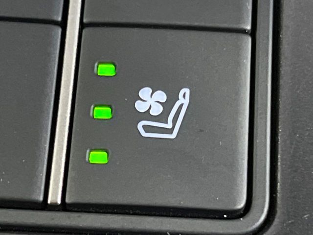 TOYOTA LEXUS UX250H 2023 Image 31