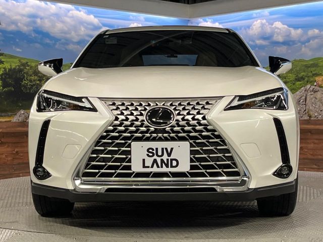 TOYOTA LEXUS UX250H 2023 Image 31
