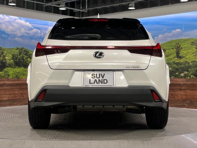 TOYOTA LEXUS UX250H 2023 Image 31