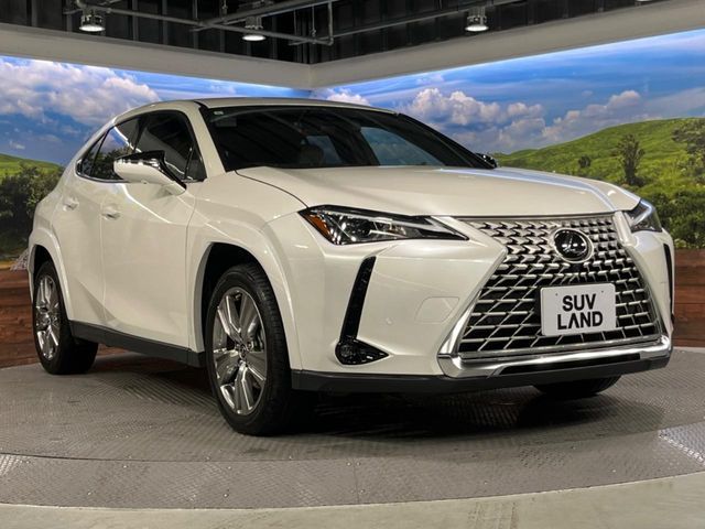 TOYOTA LEXUS UX250H 2023 Image 31