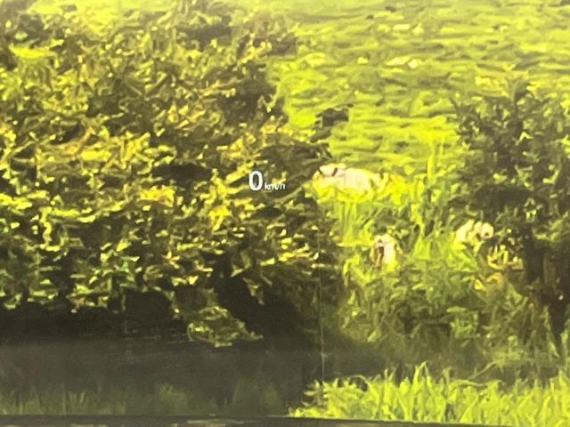 MAZDA CX-8 4WD 2019 Image 31