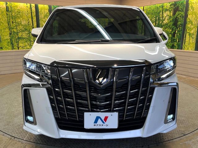 TOYOTA ALPHARD 2020 Image 31