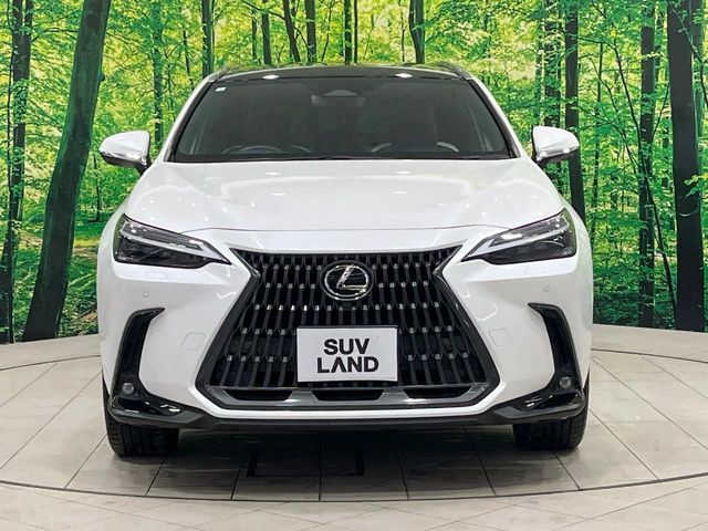 TOYOTA LEXUS NX350H 2023 Image 31