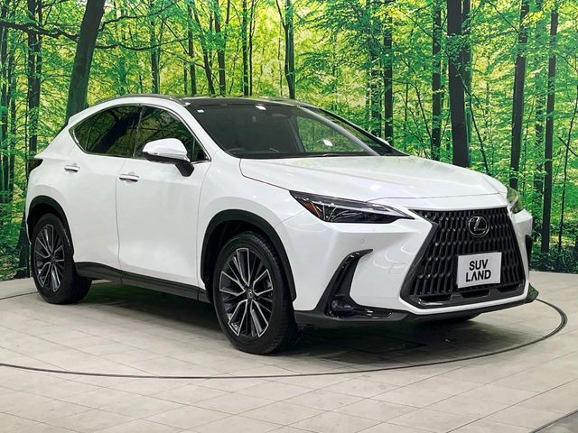 TOYOTA LEXUS NX350H 2023 Image 31