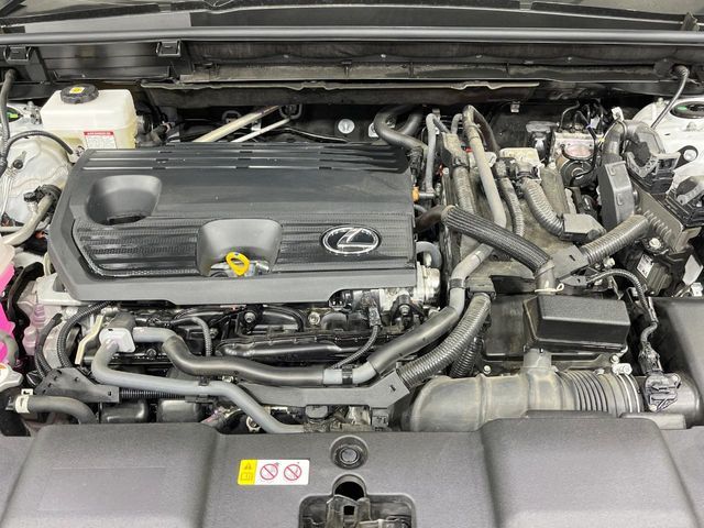 TOYOTA LEXUS NX350H 2023 Image 31