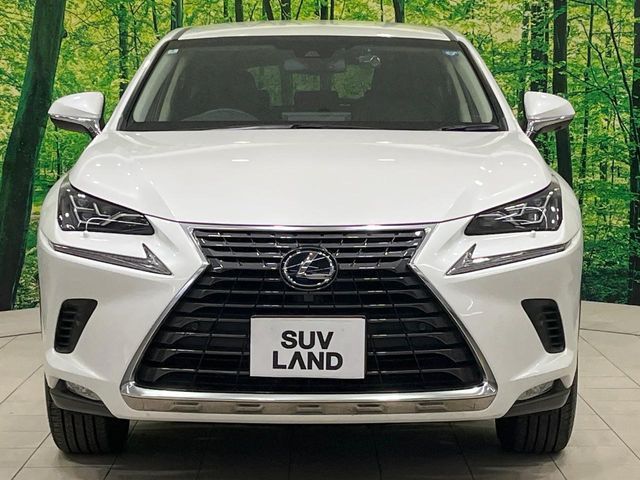 TOYOTA LEXUS NX300H AWD 2018 Image 31