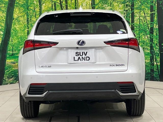 TOYOTA LEXUS NX300H AWD 2018 Image 31