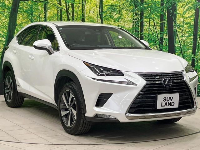 TOYOTA LEXUS NX300H AWD 2018 Image 31