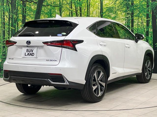 TOYOTA LEXUS NX300H AWD 2018 Image 31