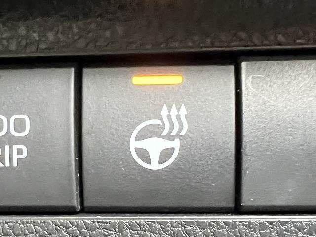 TOYOTA RAV4 4WD 2023 Image 31