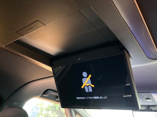 TOYOTA ALPHARD HYBRID 2025 Image 31