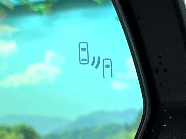 TOYOTA ALPHARD HYBRID 2025 Image 31