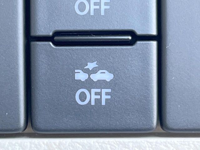 SUZUKI ALTO LAPIN 2019 Image 31