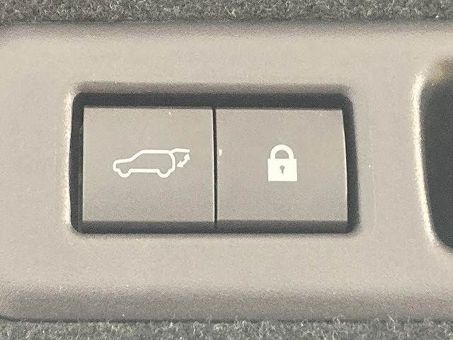 TOYOTA LEXUS RX450H AWD 2021 Image 31