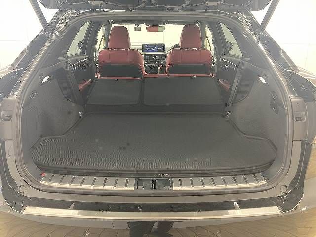 TOYOTA LEXUS RX450H AWD 2021 Image 31