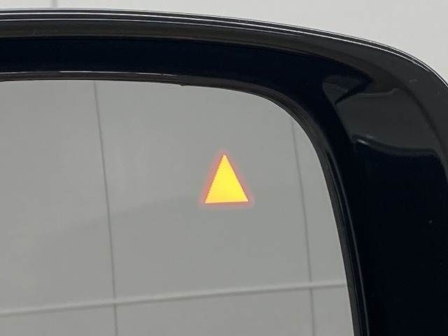 NISSAN ELGRAND 2020 Image 31