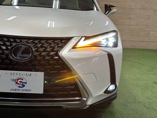 TOYOTA LEXUS UX250H 2019 Image 31