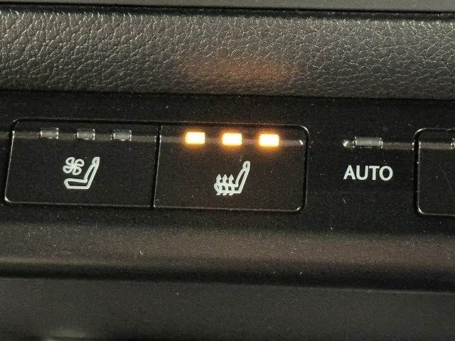 TOYOTA LEXUS UX250H 2019 Image 31