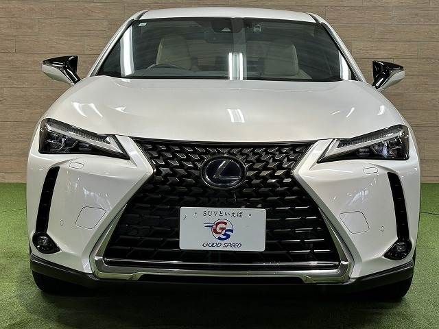 TOYOTA LEXUS UX250H 2019 Image 31