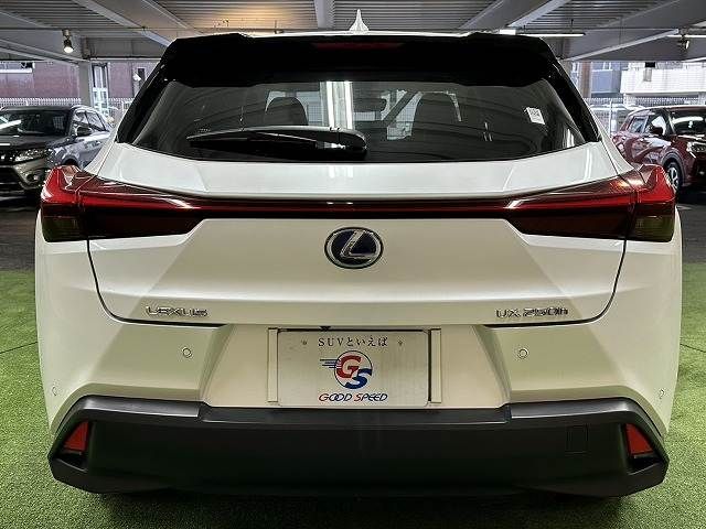 TOYOTA LEXUS UX250H 2019 Image 31