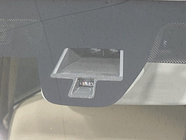 SUZUKI ALTO LAPIN 2019 Image 31