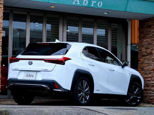 TOYOTA LEXUS UX250H 2019 Image 31