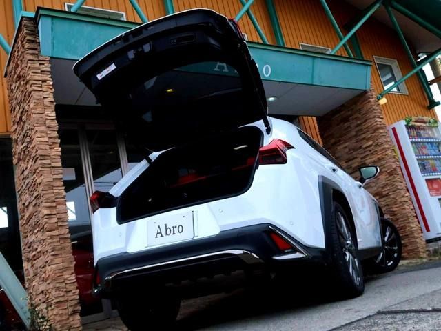 TOYOTA LEXUS UX250H 2019 Image 31