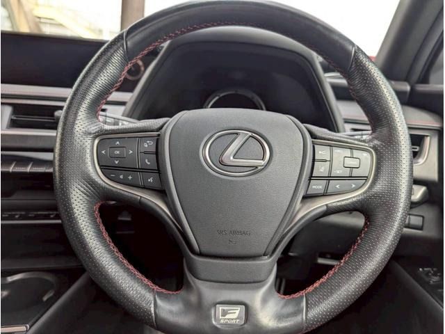 TOYOTA LEXUS UX250H 2019 Image 31