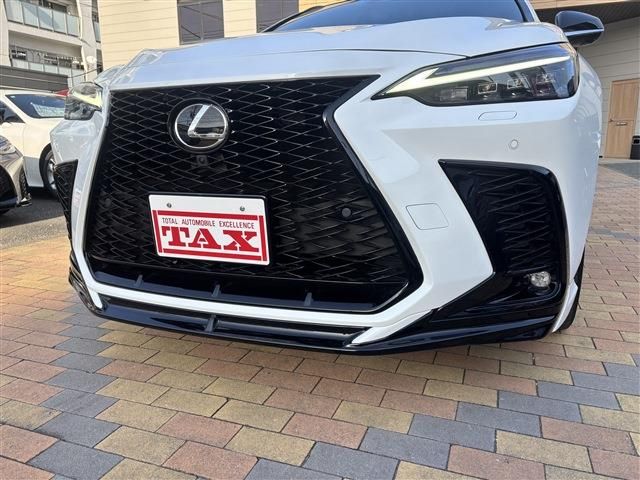 TOYOTA LEXUS NX350H 2023 Image 31