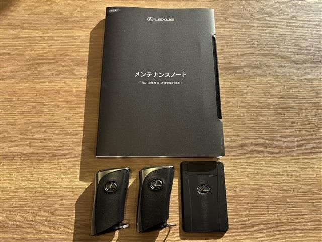 TOYOTA LEXUS NX350H 2023 Image 31