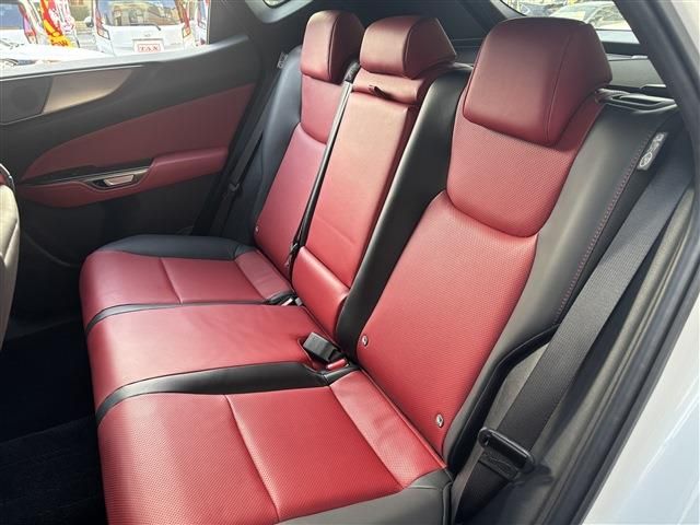 TOYOTA LEXUS NX350H 2023 Image 31