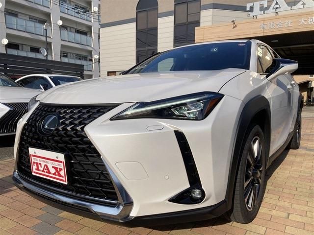 TOYOTA LEXUS UX250H 2023 Image 31