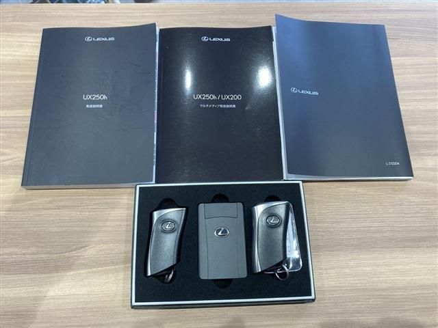 TOYOTA LEXUS UX250H 2023 Image 31