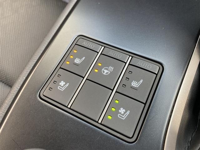 TOYOTA LEXUS UX250H 2023 Image 31