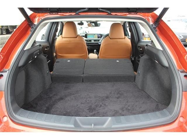 TOYOTA LEXUS UX300E 2022 Image 31