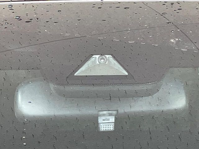 TOYOTA ALPHARD 2019 Image 31