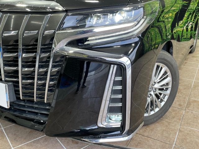 TOYOTA ALPHARD 2019 Image 31