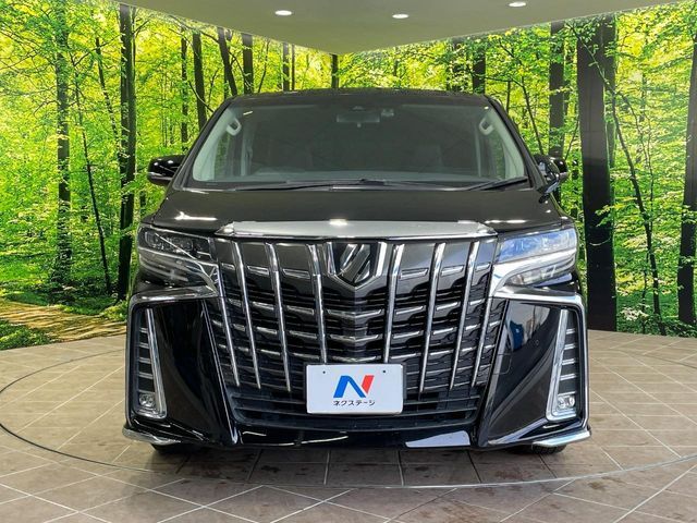 TOYOTA ALPHARD 2019 Image 31