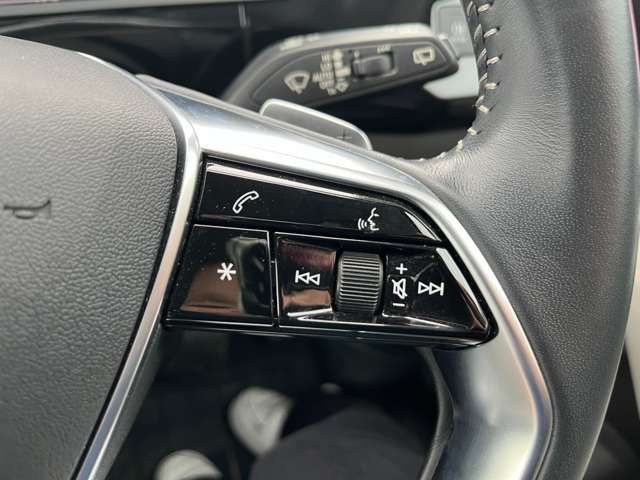 AUDI E-TRON 2021 Image 31