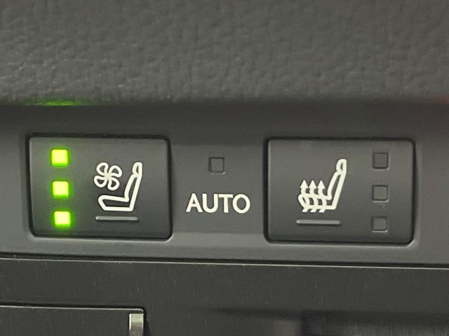 TOYOTA LEXUS ES300H 2019 Image 31