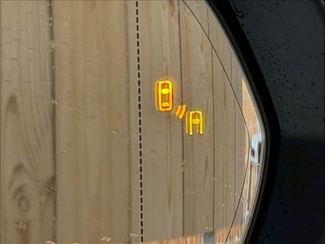 TOYOTA LEXUS RX300 2020 Image 31