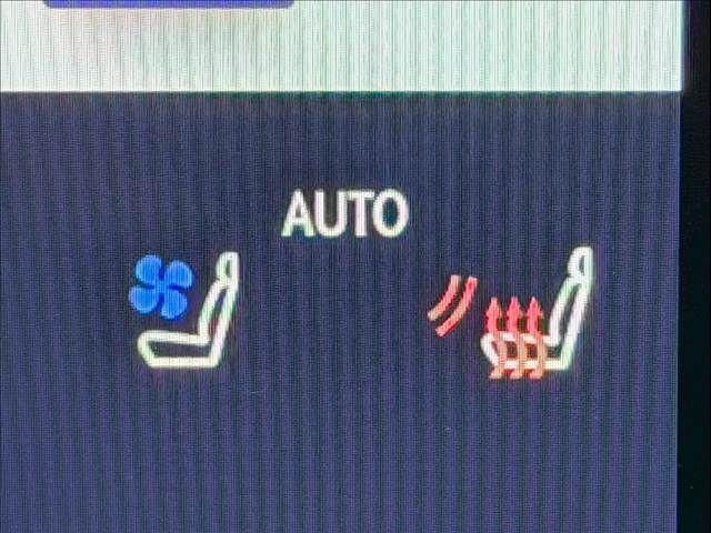 TOYOTA LEXUS RX500H 2023 Image 31