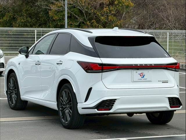 TOYOTA LEXUS RX500H 2023 Image 31